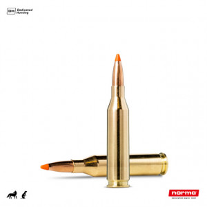 Cartus Norma .243 Win. Tipstrike Varmint | 4,9 g.