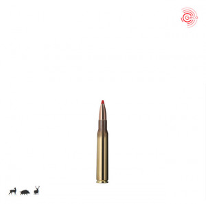Cartus Geco Express, cal.: .30-06 Sprg. | 10,7 g. - Img 3