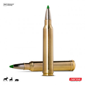 Cartus Norma .300 Win.Mag. Ecostrike | 10,7 g.