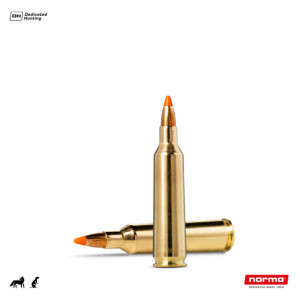 Cartus Norma 22-250 Rem Tipstrike Varmint | 3,6 g.