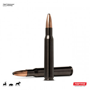 Cartus Norma 30-06 Sprg. Oryx Silencer | 11,7 g.