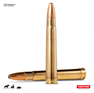 Cartus Norma 375 H&H Mag. Oryx | 19,4 g.