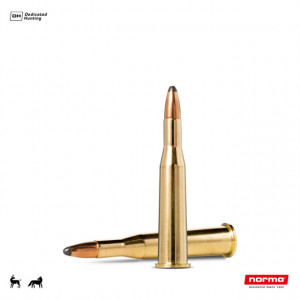 Cartus Norma 5,6x52 R Whitetail | 4,6 g.