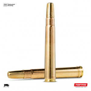 Cartus Norma 375 H&H Mag. Solid | 19,4 g.