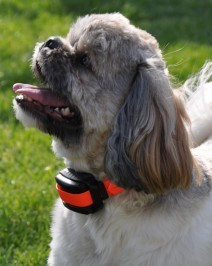 Zgarda antilatrat Dog Trace d-mute Small Light | cod: d101 - Img 2