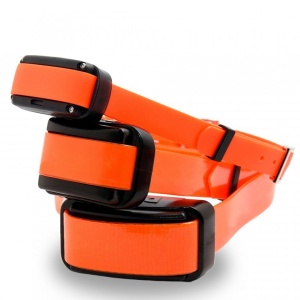 Zgarda dresaj DogTrace d-control Professional 2000, orange | cod: d379 - Img 3