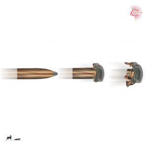 Cartus Geco Softpoint, cal.: 7x57 R | 10,7 g. - Img 2