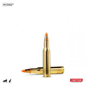 Cartus Norma .222 Rem. Tipstrike Varmint | 3,6 g.