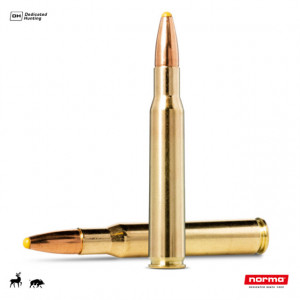 Cartus Norma 30-06 Sprg. Plastic Point | 11.7 g.