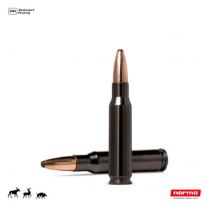 Cartus Norma .308 Win. Oryx Silencer | 10,7 g.