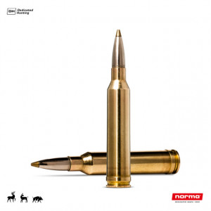 Cartus Norma 7 mm Remington Magnum Evostrike | 8,2 g.