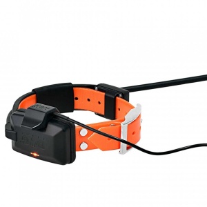 Zgarda transmitator aditional Dogtrace pentru Dog GPS X30T, portocaliu | cod: d6134 - Img 3