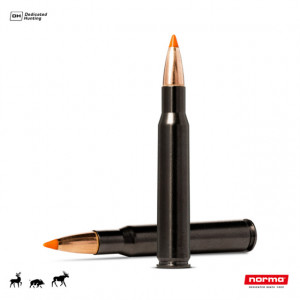 Cartus Norma 30-06 Sprg. Tipstrike Silencer | 11,0 g.