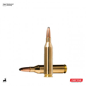 Cartus Norma .243 Win. Whitetail | 6,5 g.