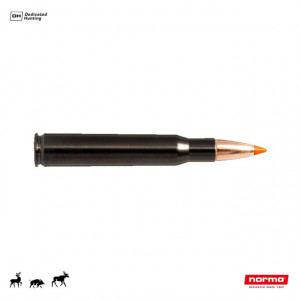 Cartus Norma 30-06 Sprg. Tipstrike Silencer | 11,0 g. - Img 2