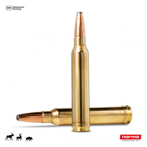 Cartus Norma .300 Win.Mag. Oryx | 13,0 g.