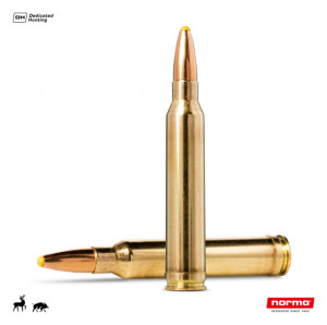 Cartus Norma .300 Win.Mag. Plastic Point | 11,7 g.