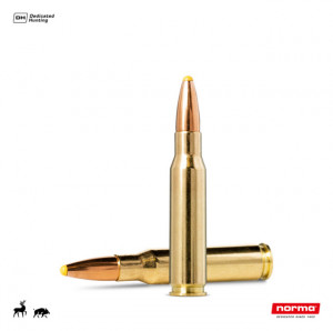 Cartus Norma .308 Win. Plastic Point | 11,7 g.