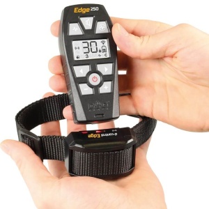 DogTrace d-control Edge 250, zgarda electronic pentru dresaj caine | cod: d601 - Img 4