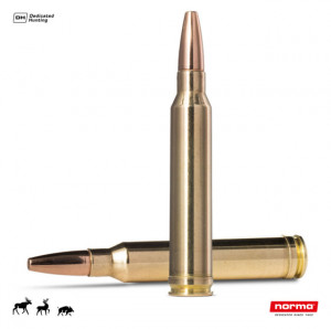 Cartus Norma .300 Win.Mag. Vulkan | 11,7 g.