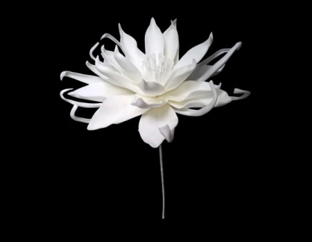 Floare decorativa Echeveria alba , H100cm - Img 2