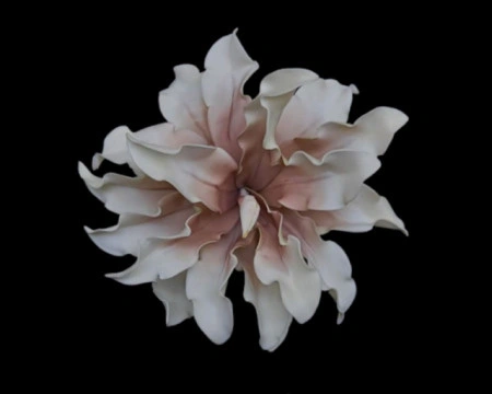 Floare decorativa,Dracena alb-roz pudrat, D30CM - Img 2