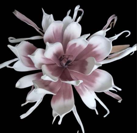 Floare decorativa Echeveria lila-alb ,planta artificiala foam, H100 cm - Img 3