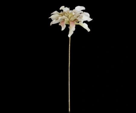 Floare decorativa,Dracena alb-roz pudrat, D30CM - Img 3