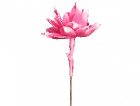 Floare Lotus pink - Img 3