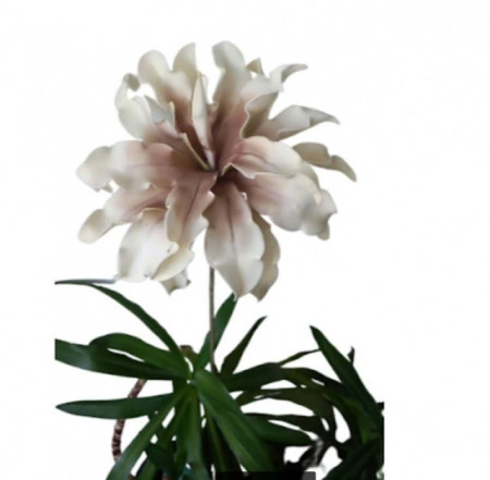 Floare decorativa,Dracena alb-roz pudrat, D30CM - Img 4