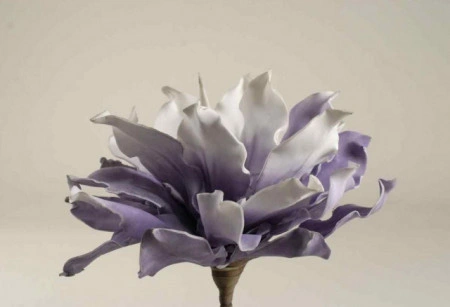 Floare decorativa Echeveria , lila -alb L80cm,foam - Img 4