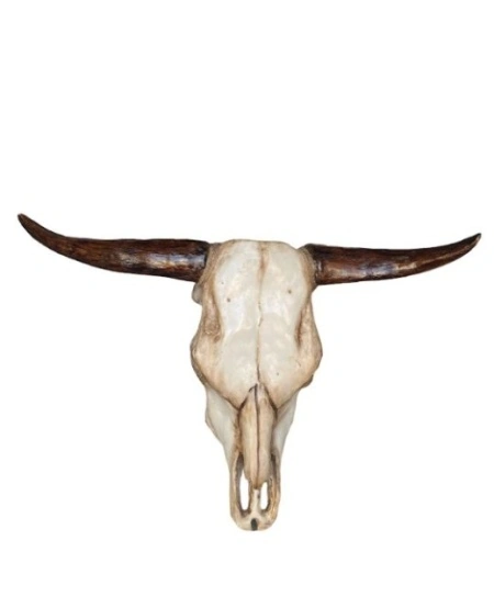 Decoratiune perete craniu taur ,marime mare 70x52 cm - Img 2