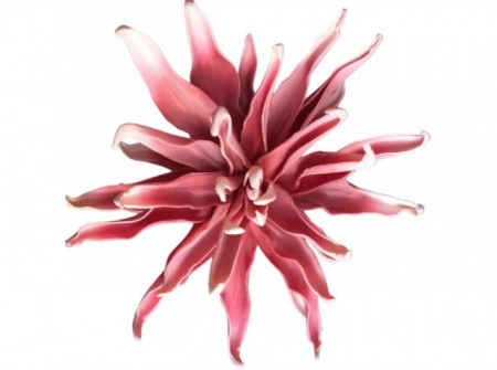Floare decorativa ,Dalie roz D40cm - Img 2