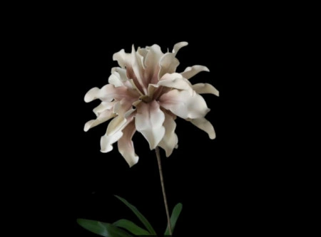 Floare decorativa,Dracena alb-roz pudrat, D30CM - Img 6