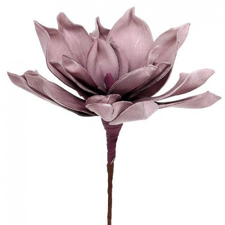 Floare magnolie roz - Img 2