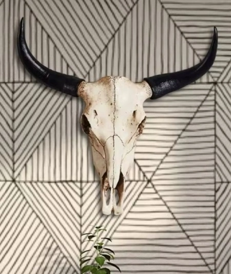 Decoratiune perete craniu taur ,marime mare 70x52 cm - Img 3