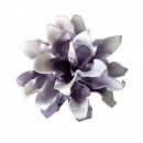 Floare decorativa Echeveria , lila -alb L80cm,foam - Img 2