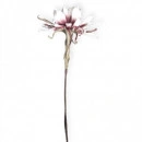 Floare decorativa Echeveria lila-alb ,planta artificiala foam, H100 cm - Img 2