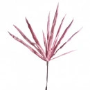 Floare decorativa ,buchet 11fire Dracena rosie L 108 cm - Img 2