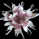 Floare decorativa Echeveria lila-alb ,planta artificiala foam, H100 cm - Img 3