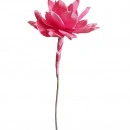 Floare Lotus pink - Img 2