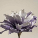 Floare decorativa Echeveria , lila -alb L80cm,foam - Img 4