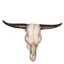 Decoratiune perete craniu taur ,marime mare 70x52 cm - Img 2
