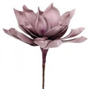 Floare magnolie roz - Img 2
