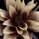 Floare decorativa Dalie maro,floare artificiala foam L90 cm - Img 4