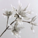 Floare decorativa ,creanga magnolie cu 5 flori alb-gri, L90cm