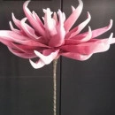 Floare decorativa ,Dalie roz D40cm - Img 4