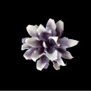 Floare decorativa Echeveria , lila -alb L80cm,foam