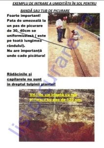 Banda picurare L= 200m, pas 20cm