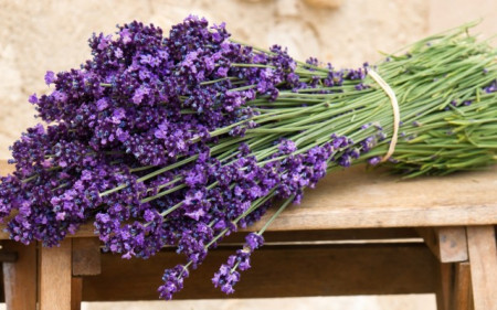 10000 Seminte Lavanda Angustifolia ( Common English ) + Certificat De Calitate si Garantie + Instructiuni de Germinare si Plantare***LIVRARE GRATUITA PRIN POSTA ROMANA SAU FAN COURIER